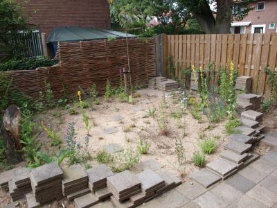 Matenstraat - Een tuin met inheemse planten op straatzand